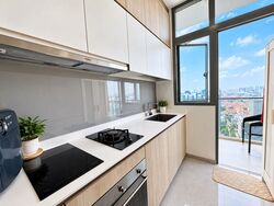 Sturdee Residences (D8), Condominium #623996221